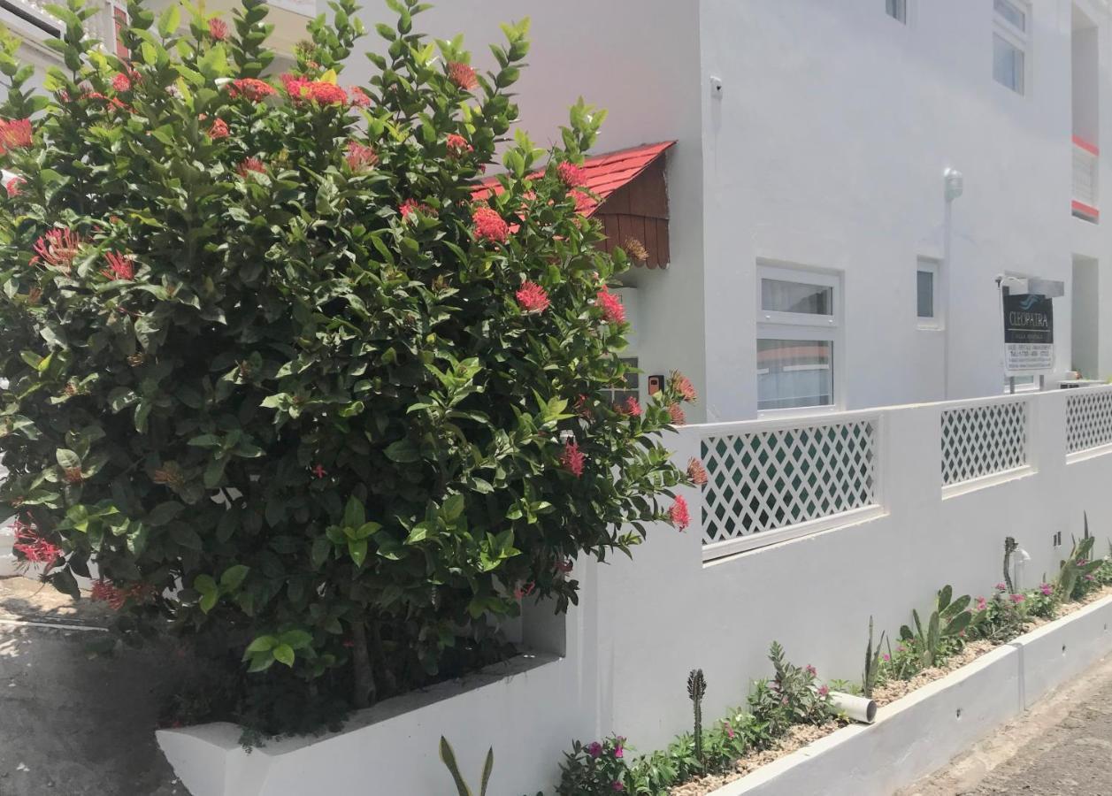 Cleopatra Villas - Sea View Rodney Bay ภายนอก รูปภาพ